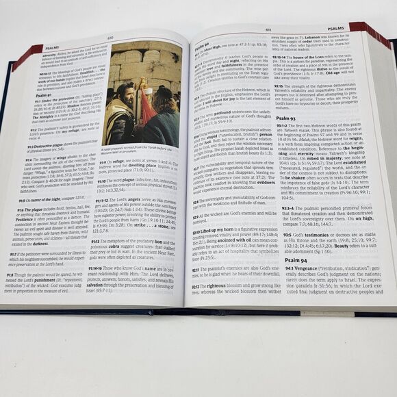 Holman Illustrated Bible Commentary Hardcover Clendenen, Howard - Picture 9 of 13